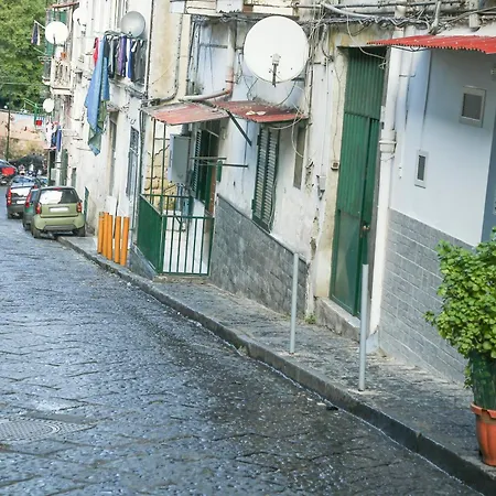 House Toto-3